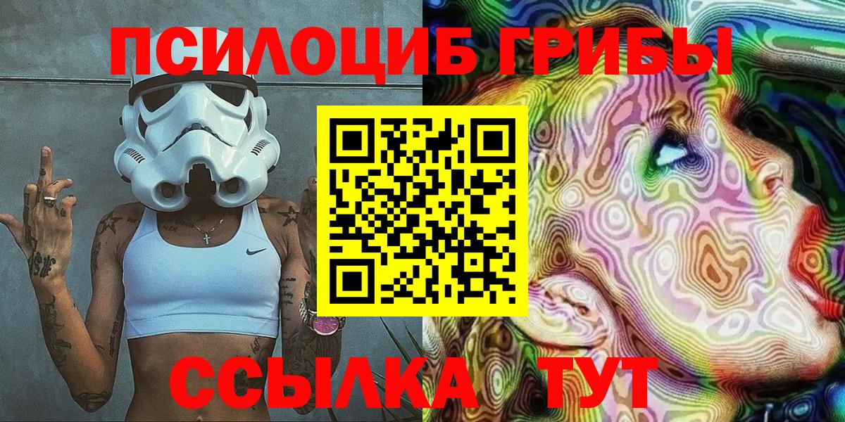 Псилоцибиновые грибы мицелий Королёв